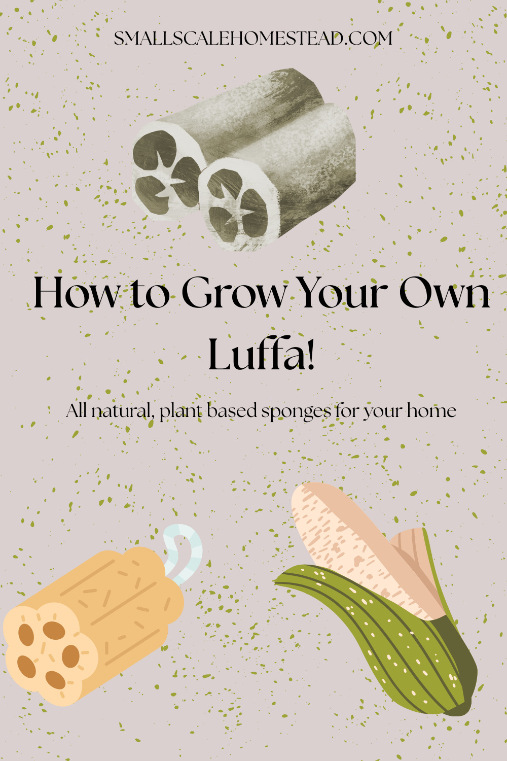 How to Grow Your Own Luffa!!