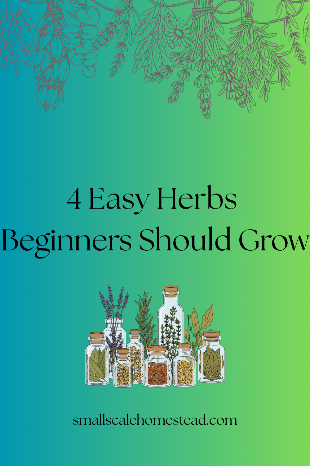4 Easy Herbs