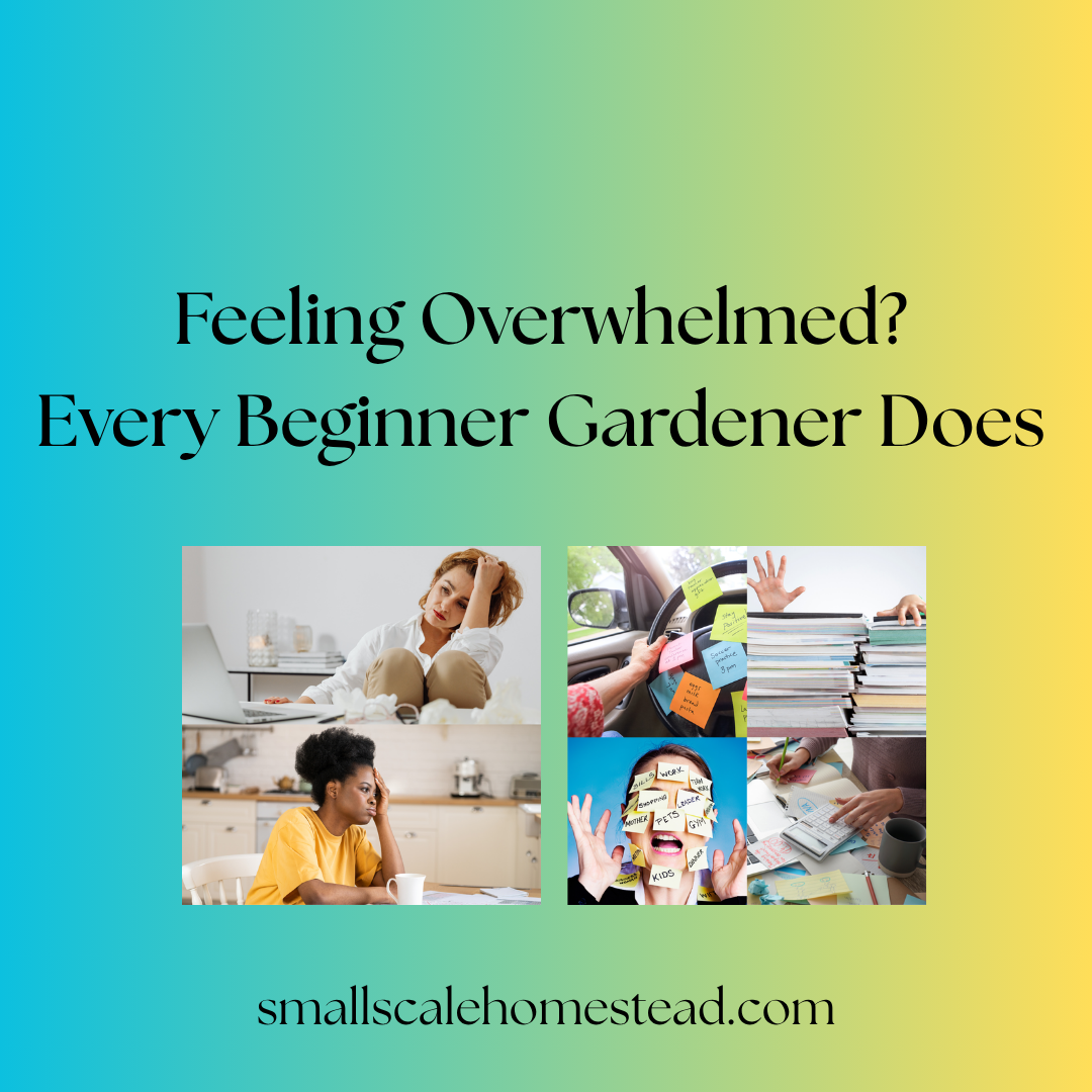 Feeling Overwhelmed? Every Beginner Gardener Does.