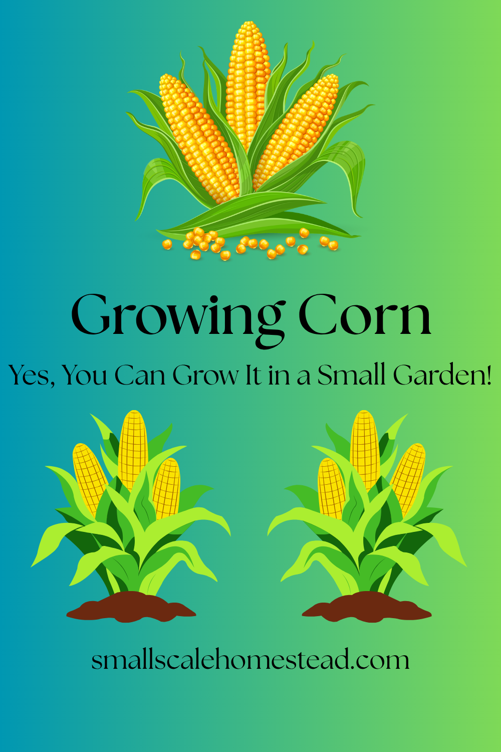 Growing Corn