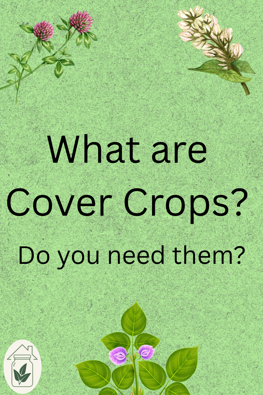 What are Cover Crops? Do you need them?